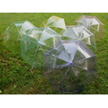 High Quality Control Transparent Umbrella - Hot Popular In Rainy